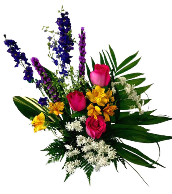 Island Princess IF-875