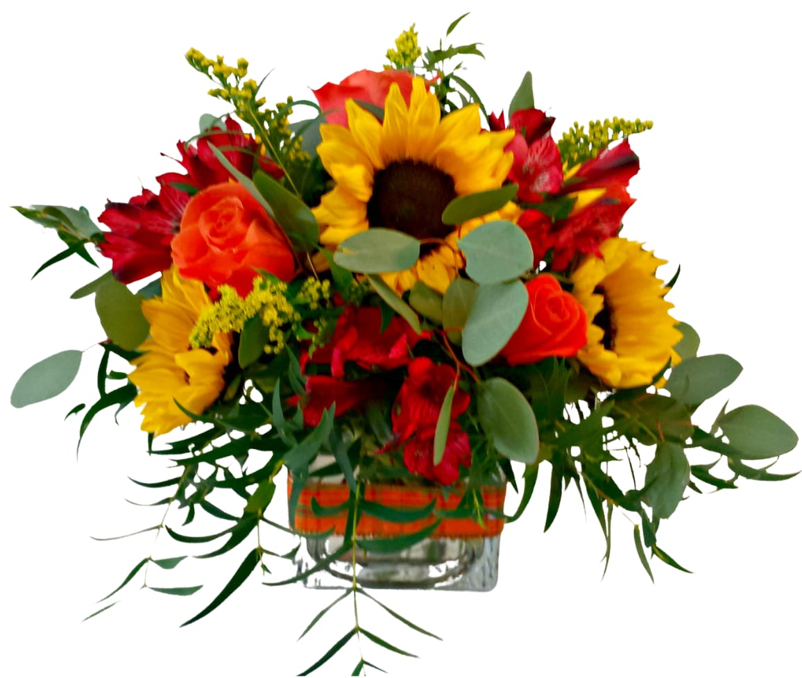 Sunflowers Flower Delivery Tempe AZ Fiesta Flowers, Plants & Gifts