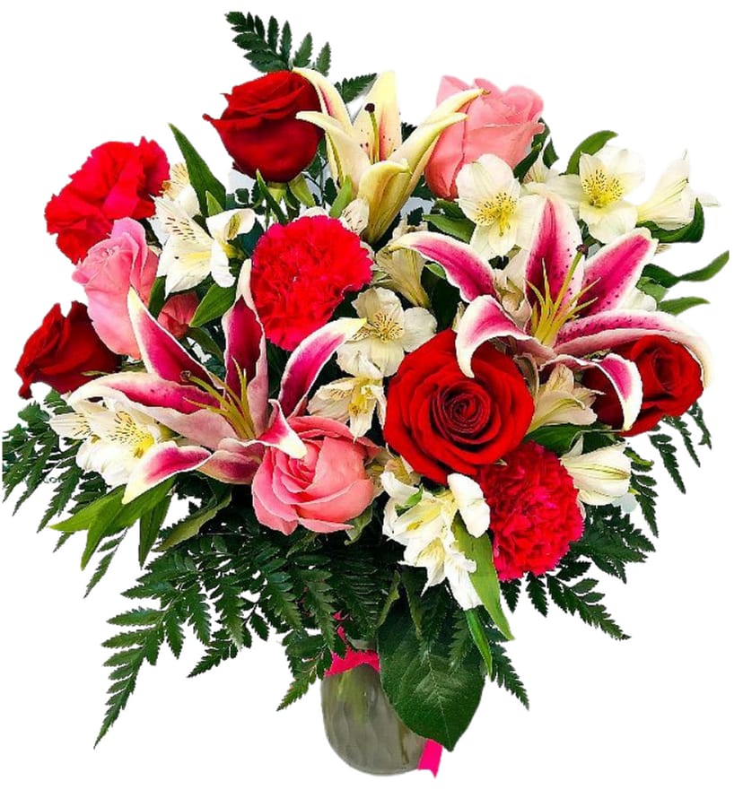 Fiesta Fields of Europe Romance V-1324