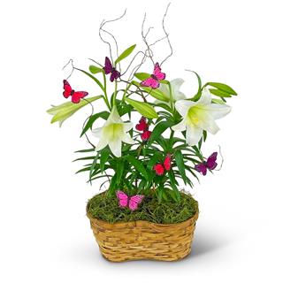 Easter Lilies in Spring Basket Flower Bouquet