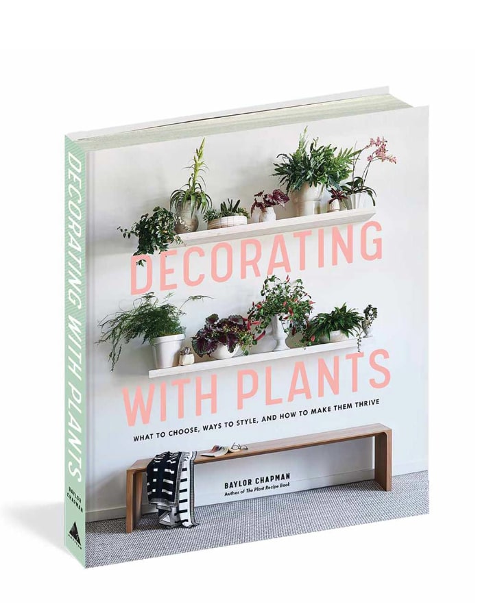 Decorating with Plants Flower Bouquet