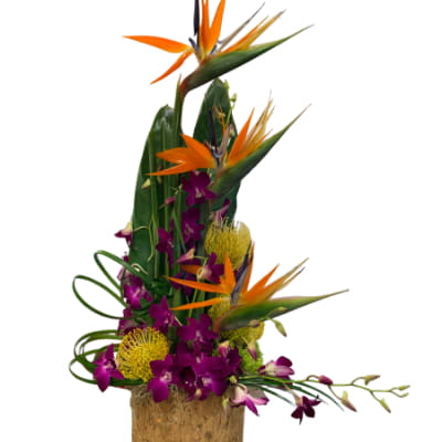 Tropical Arrangement1 Flower Bouquet