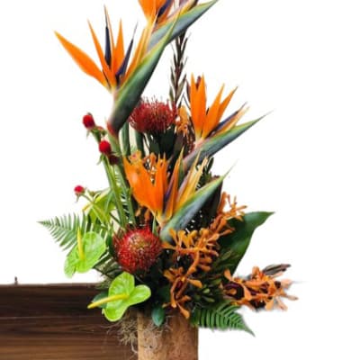 Tropical Arrangement