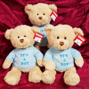 Baby Boy Teddy