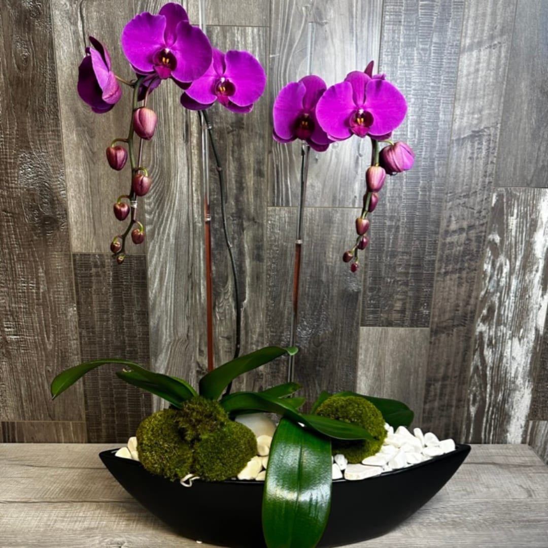 Las Vegas Florist Flower Delivery by Desert Rose Florist in Summerlin