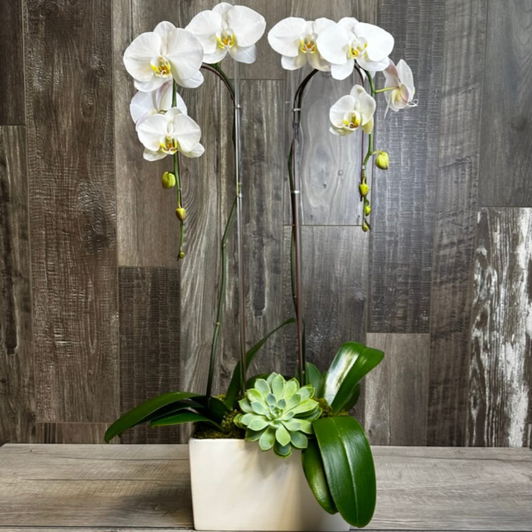 Las Vegas Florist Flower Delivery by Desert Rose Florist in Summerlin Las Vegas Nevada