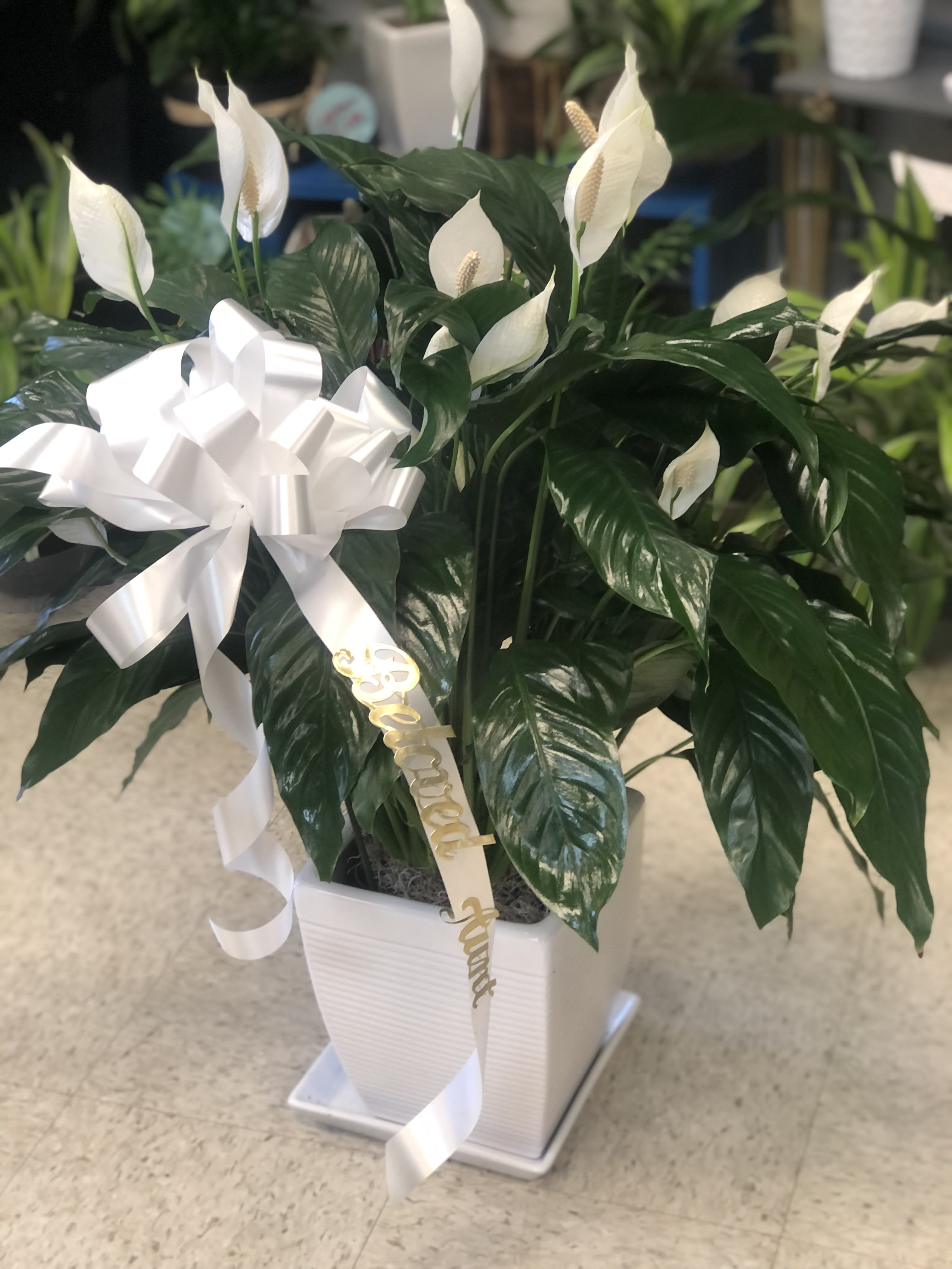 funeral plant in ceramic 