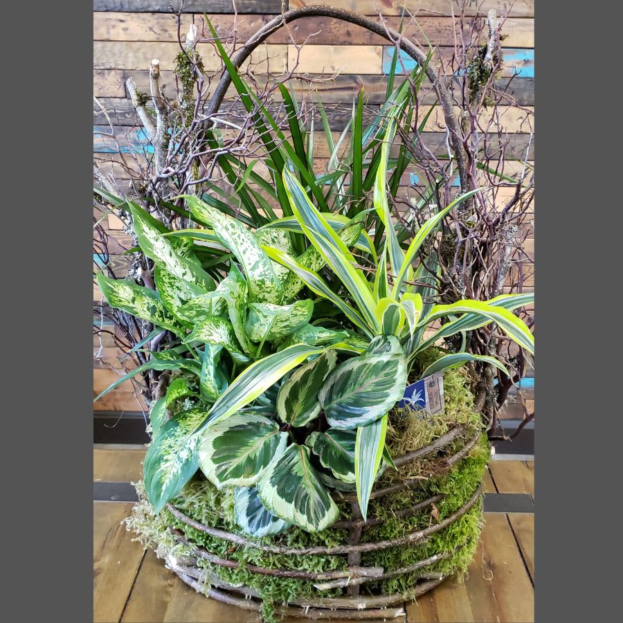 Tropical Jungle - Plants & Botanicals Flower Bouquet