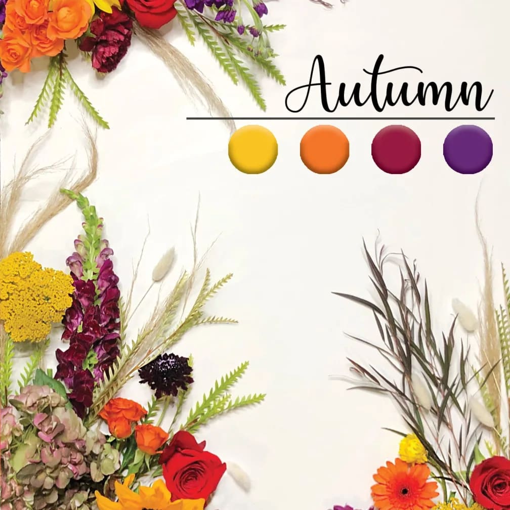 Designer's Choice - Autumn Palette