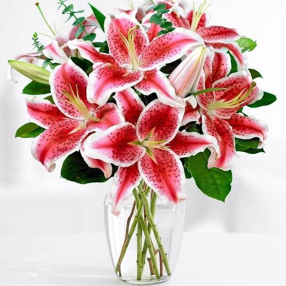 Stargazer Lilies In A Vase