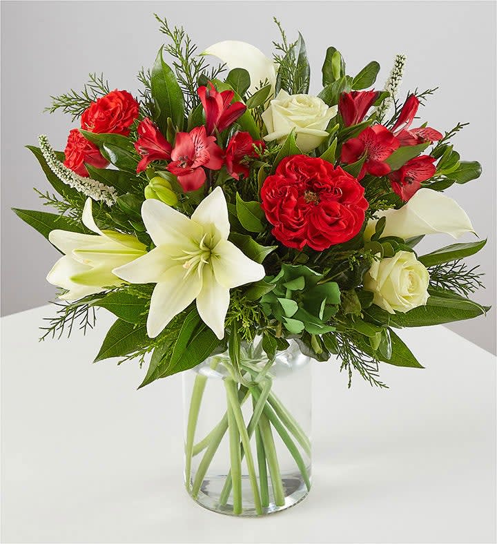 Crimson Beauty by Jason Wu for Wild Beauty