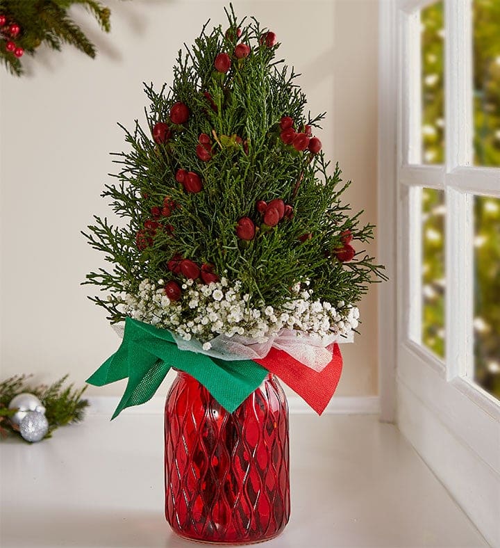 Hand Tied Mini Christmas Tree Bouquet