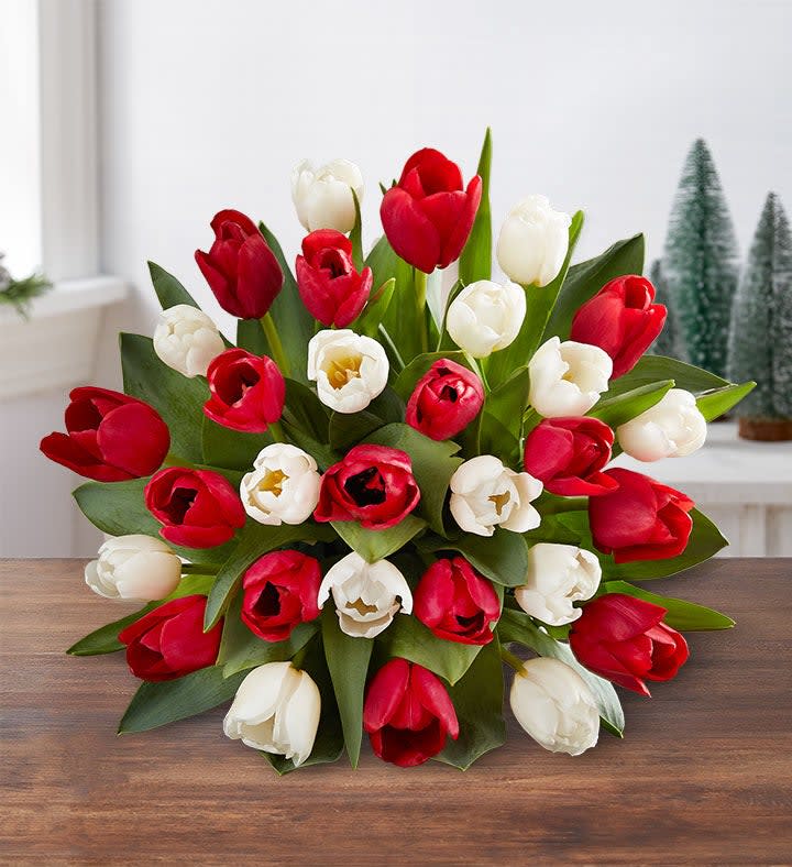 Merry and Bright Tulips