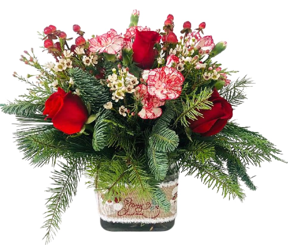 Timeless Cheer U-3046