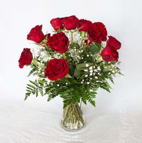 One Dozen Red Roses in Vase with babies breath