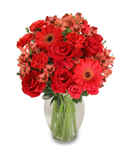 Charismatic Crimson Floral Arrangement