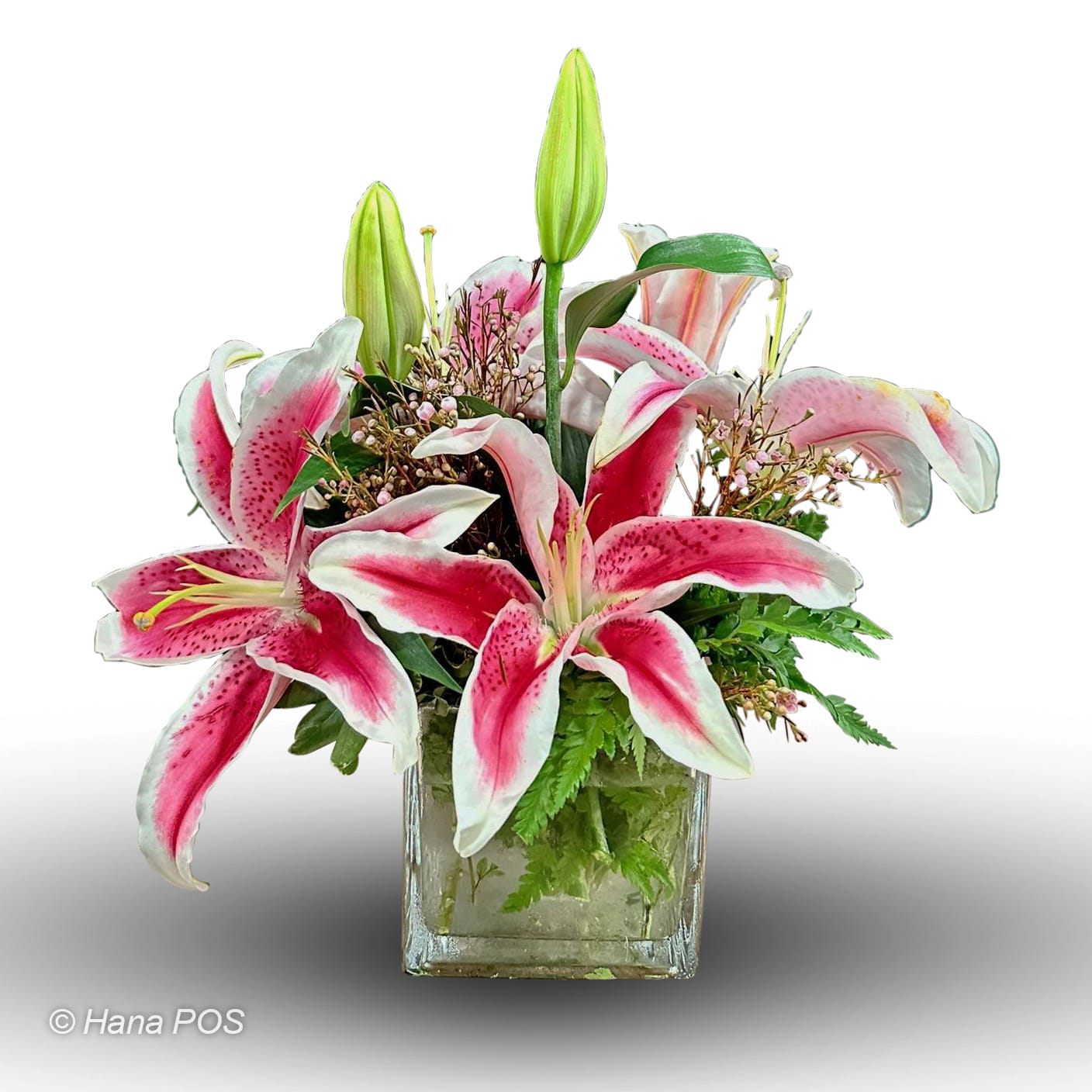 Pink Stargazer Arrangement