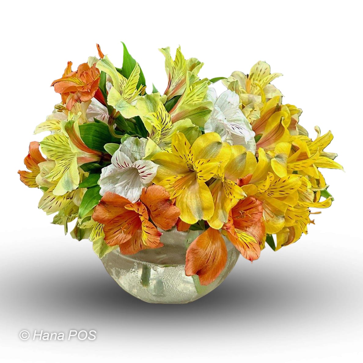 Peruvian Lilies Bowl Flower Bouquet