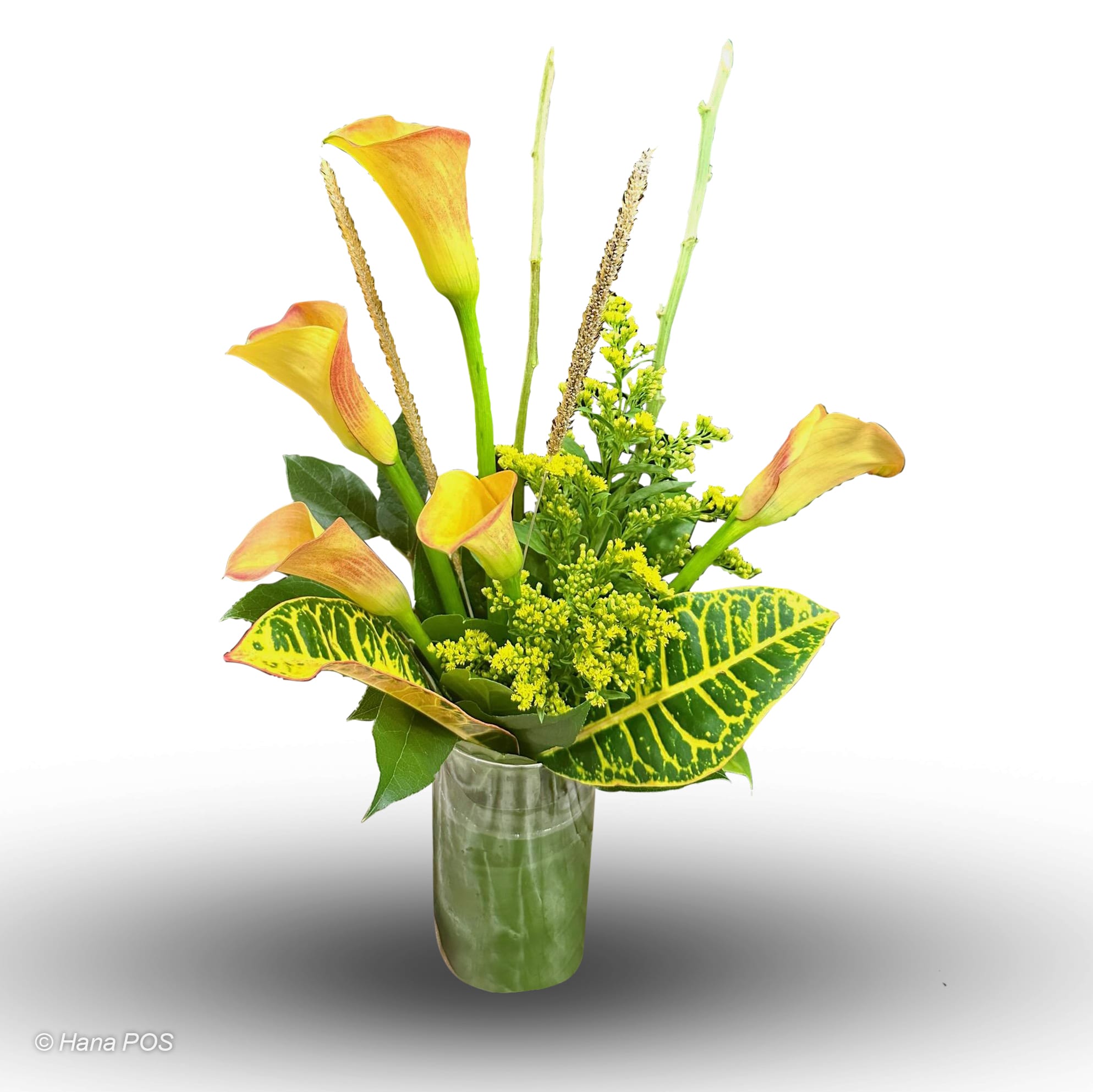 Yellow Calla Surprise