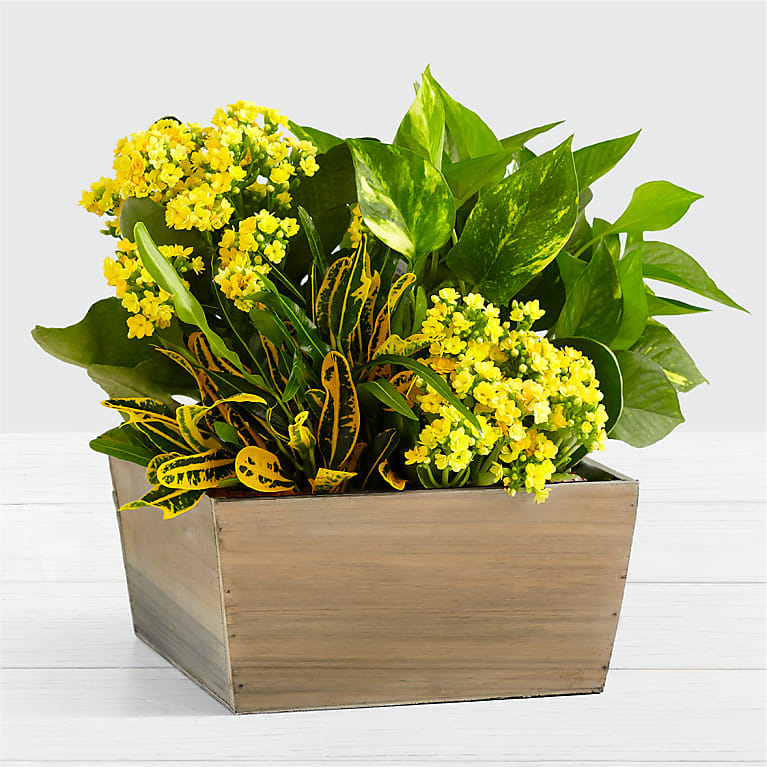 Sunshine & Joy Garden Flower Bouquet