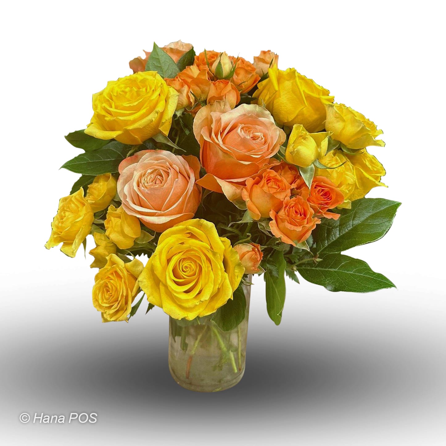 Ottawa ON Florist FREE Flower Delivery in Ottawa ON by Alta Vista Flowers