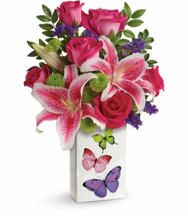 Brilliant Butterflies