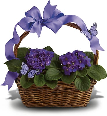 Violets And Butterflies Flower Bouquet