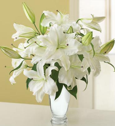 Graceful White Lily Bouquet for Sympathy Flower Bouquet