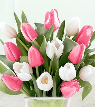 Pink & White Tulip Bouquet Flower Bouquet