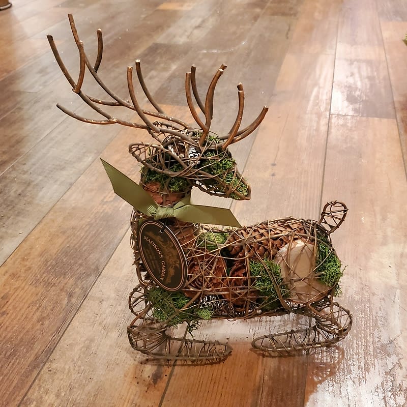 Madison's Garden Aspen Sitting Deer