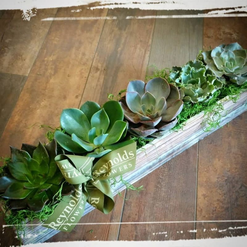 Succulent Tray Wood Box