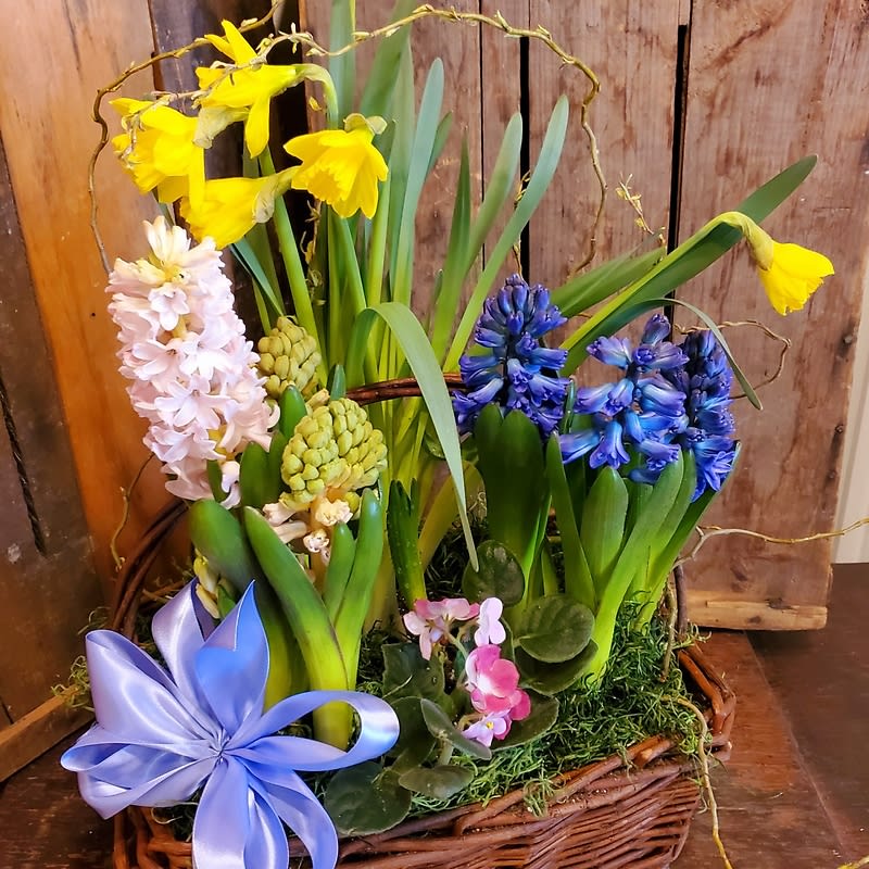 Dutch Bulb Spring Planter Basket
