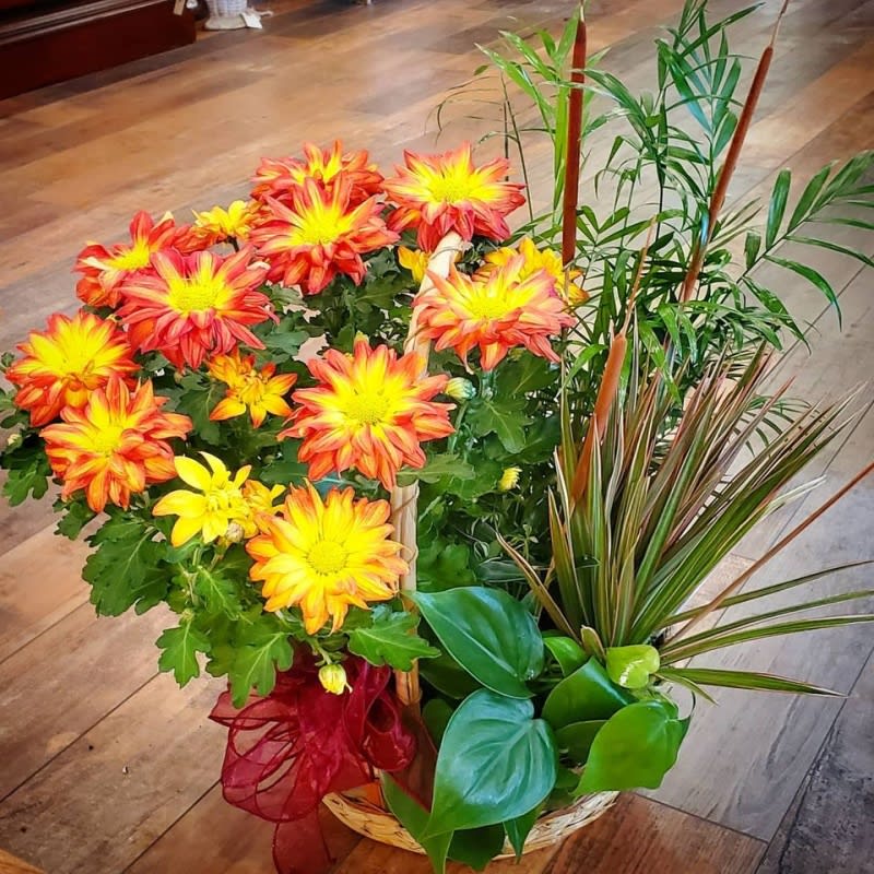 Autumn Pelee Basket Garden