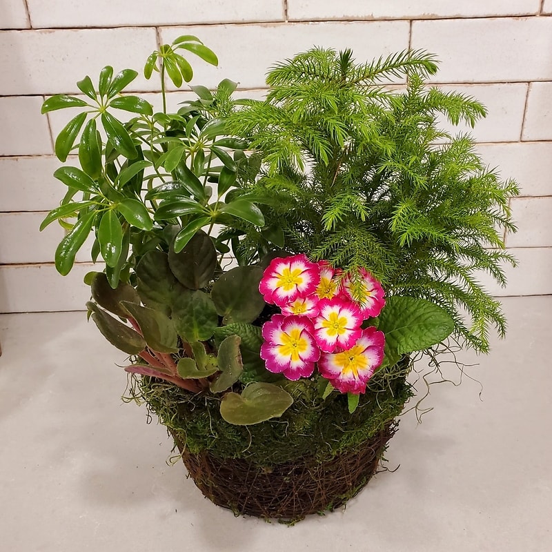 French Basket Garden