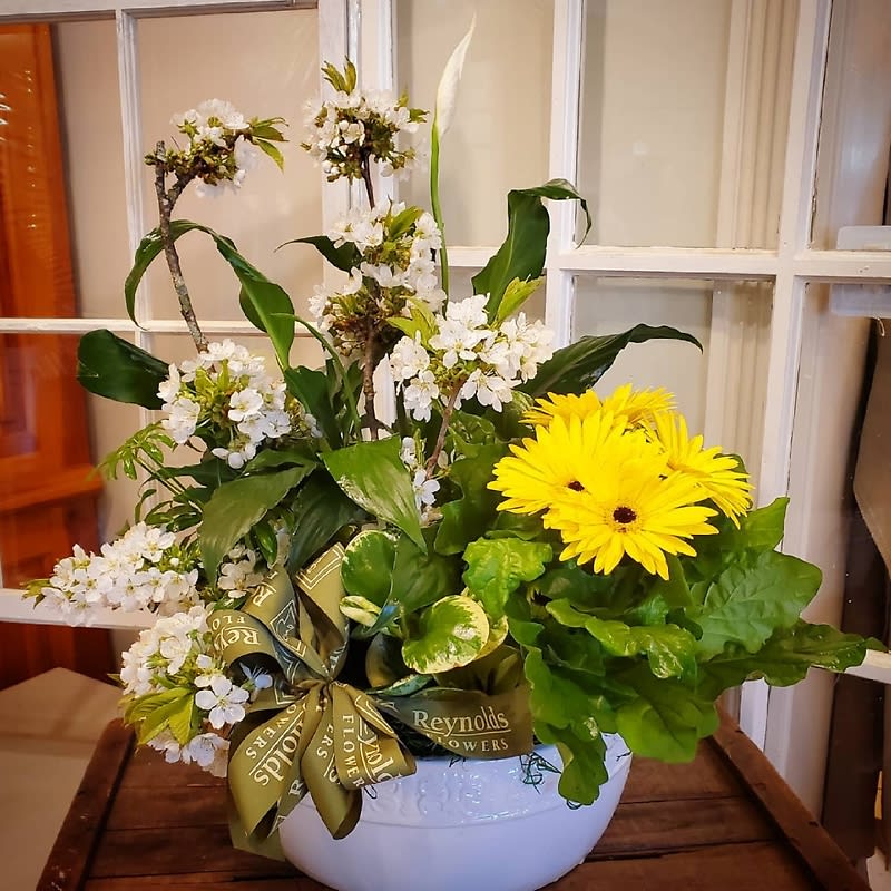 Spring Garden Ceramic