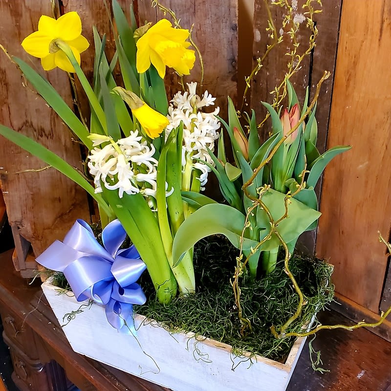 Easter Garden Wood Box Planter