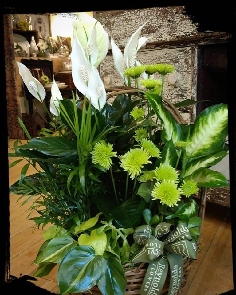 Dish Garden with Green and White