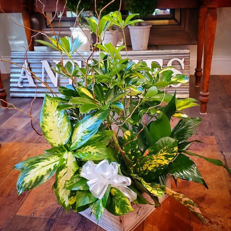 Wood Box Garden Flower Bouquet