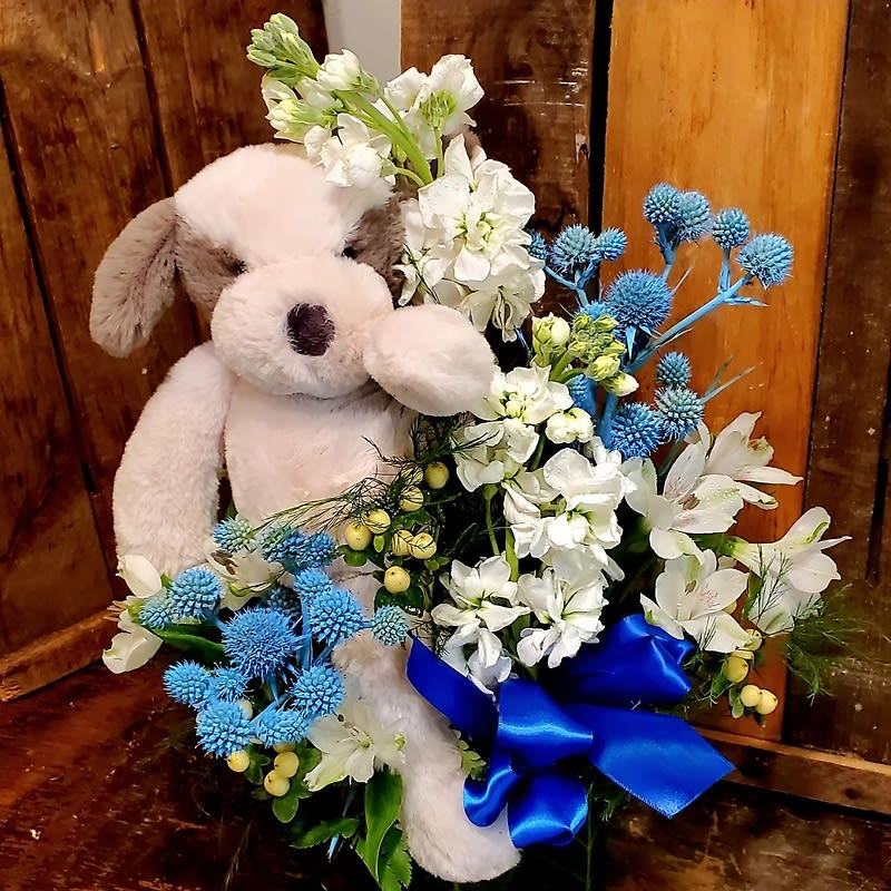 Baby Boy Arrangement with Plush