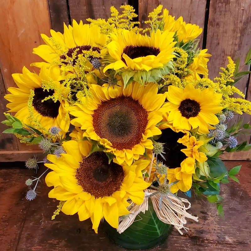 8 Sunflower Vase Arrangement
