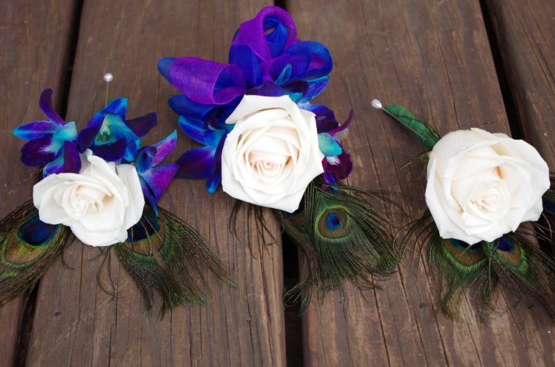 Peacock corsage and boutonierres