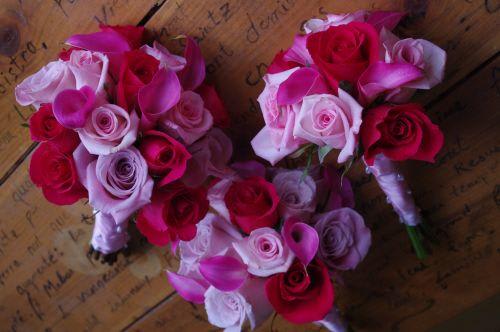 Watermellon Assortment