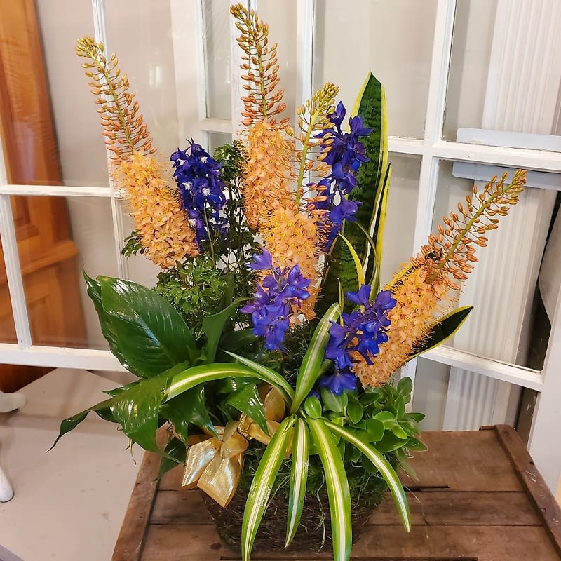 Complimentary Plant Basket