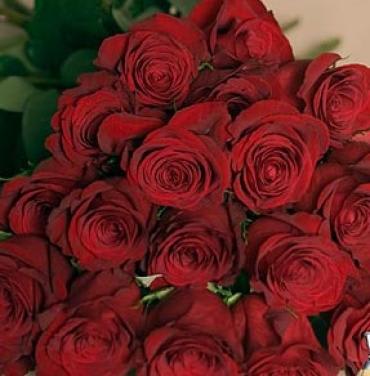 18 Red Roses Box Boxed (dozen & a half roses) Flower Bouquet