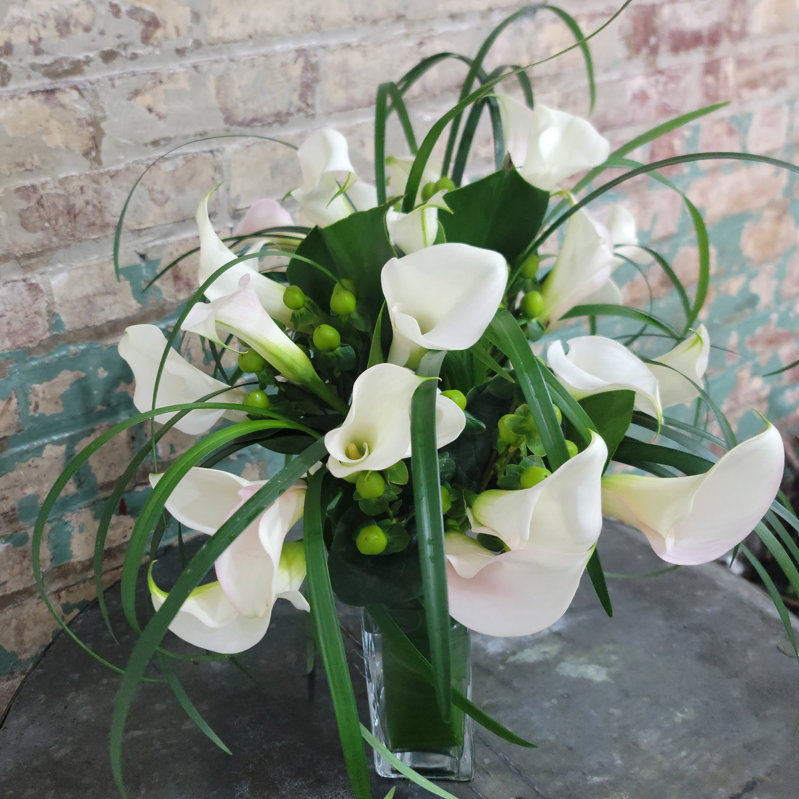 Mini Calla Lilies