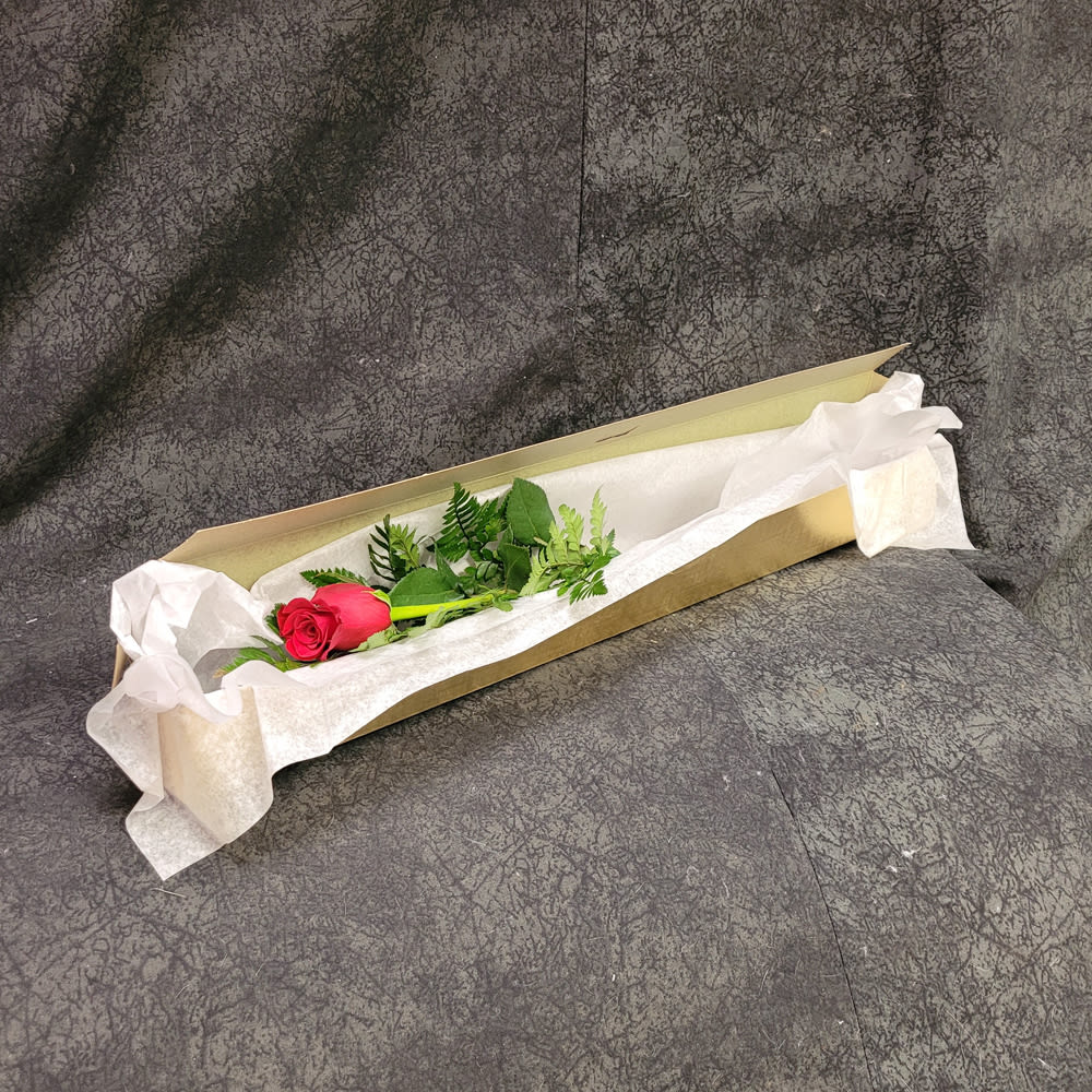 CFROSEBOXVD - 1 ROSE IN A BOX - VALENTINES Flower Bouquet