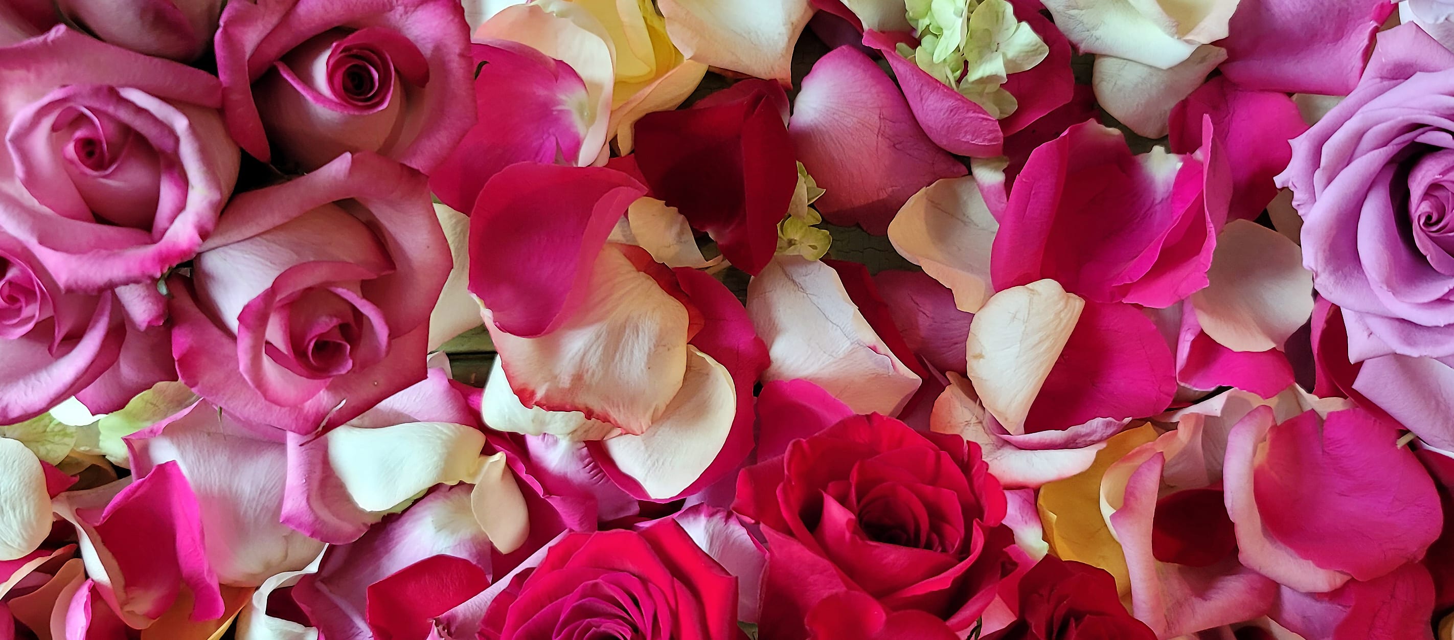 Gramercy Park Flower Shop