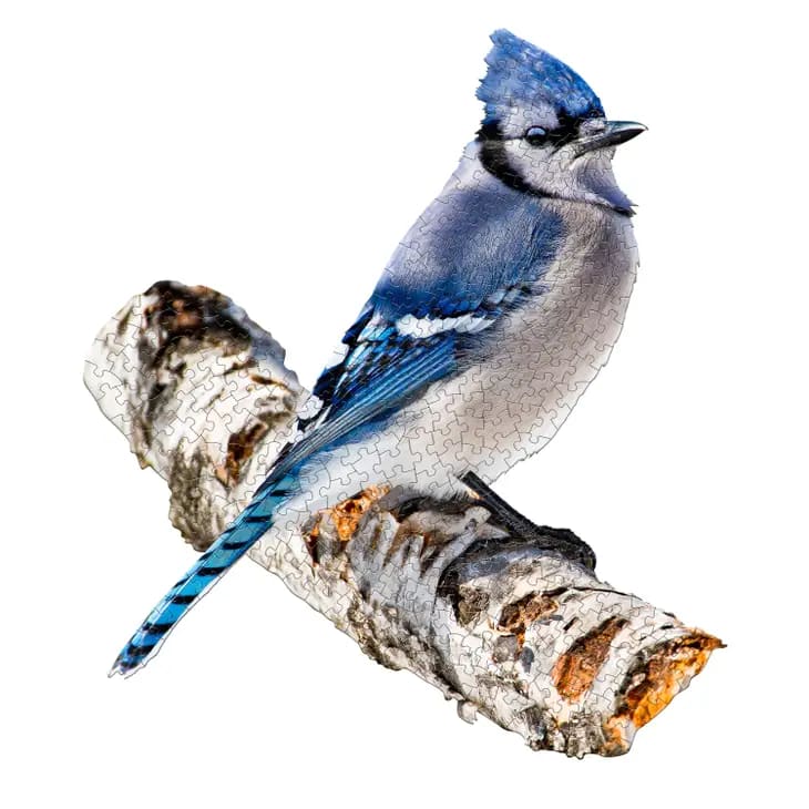 I Am Blue Jay Puzzle