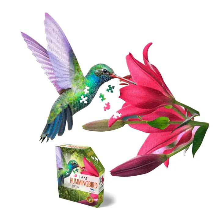 Hummingbird Puzzle