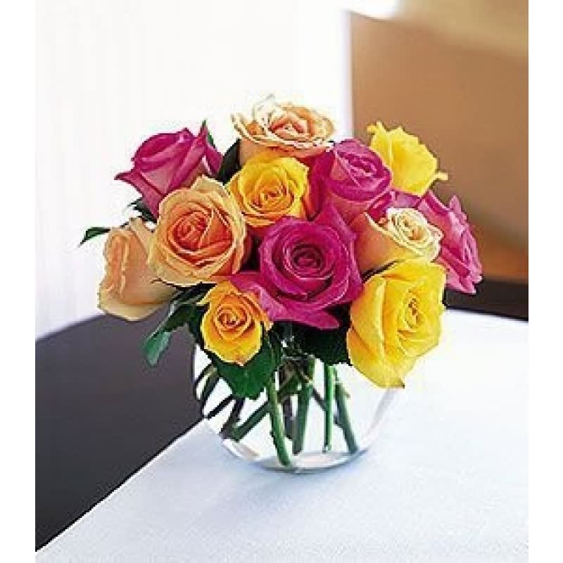Rainbow rose bouquet EBF-328